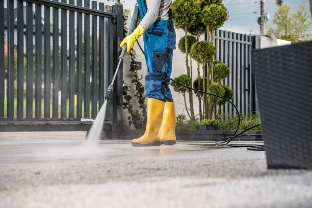 Best Driveway Pressure Washing  in Homerville, GA